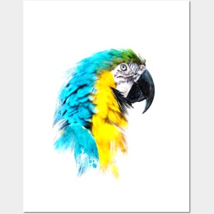 Dramabite Watercolor blue yellow macaw ara parrot artsy artistic painting Posters and Art